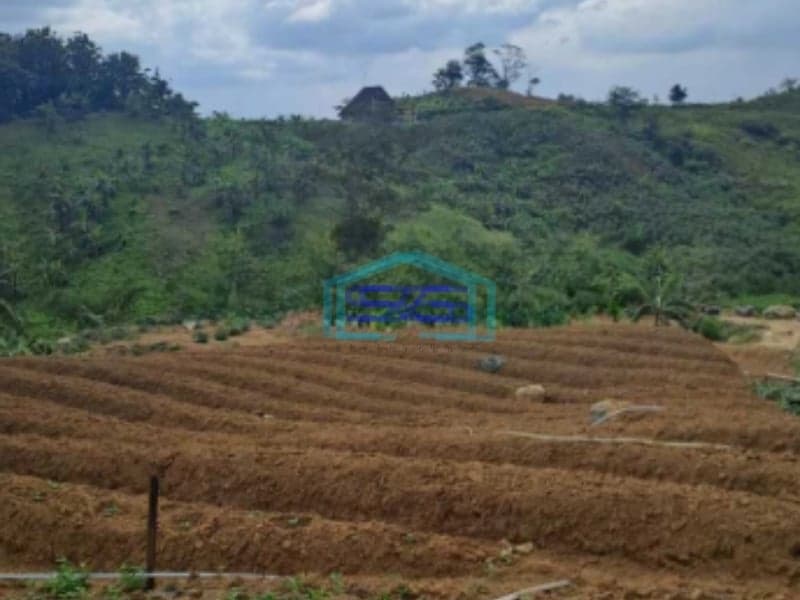 Dijual Tanah di Desa Pabuaran Sukamakmur Jonggol Bogor LT 3500m2