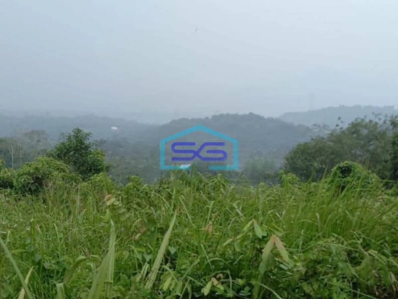 Dijual Tanah Kavling Siap Bangun Lokasi di Cariu Bogor LT 12000m2