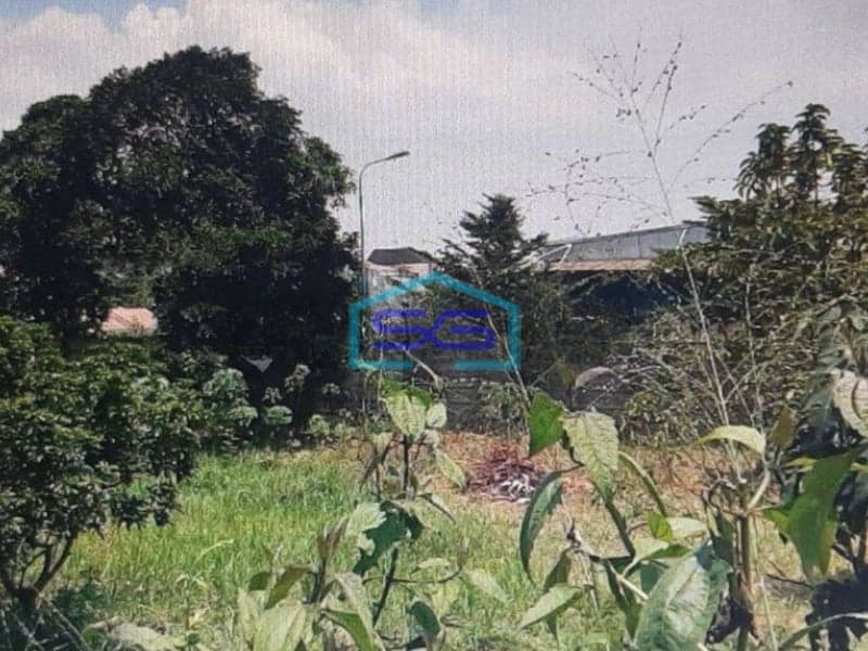 Dijual Tanah Di Gunung Sindur Bogor Lokasi Strategis di Pinggir Jalan Raya LT 8006m2