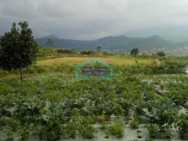 Dijual Tanah Bagus di Cipanas Cianjur Luas Tanah 50000m2
