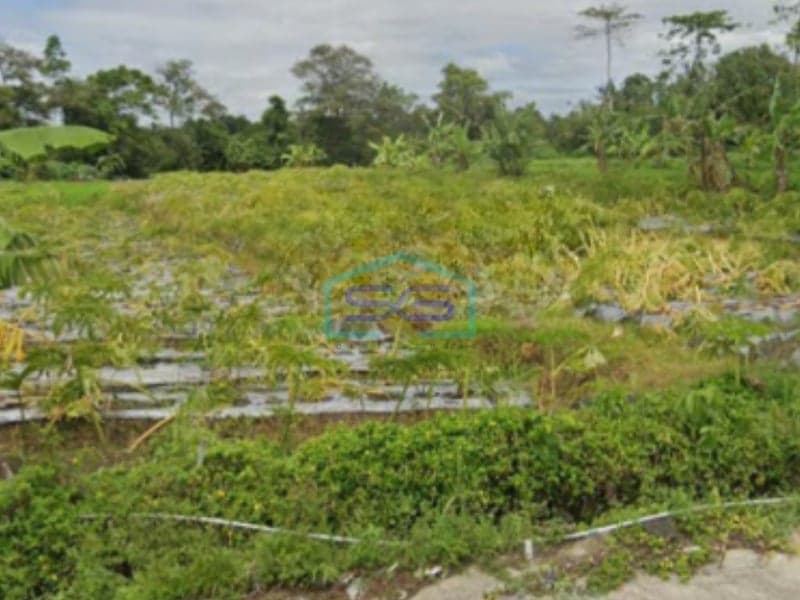 Dijual Tanah Lokasi di Umbulmartani, Ngemplak, Sleman Yogyakarta LT 2100m2