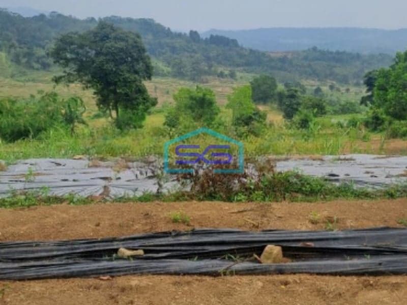 Dijual Tanah Sukaresmi Sukamakmur Bogor Luas Tanah 540000m2