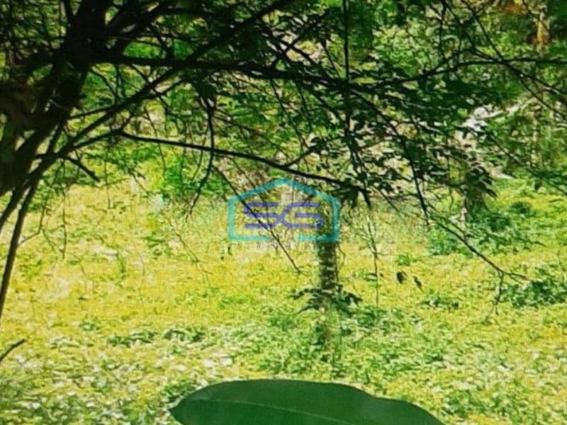 Dijual Tanah Di Jalan Sholeh Iskandar Bogor Dekat Tol LT 7012m2