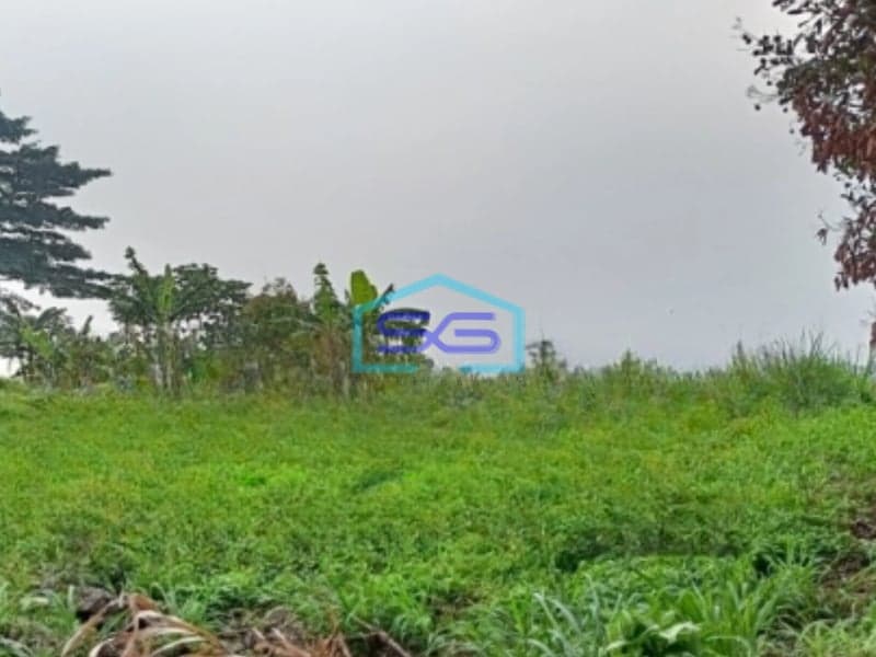 Dijual Tanah Murah Luas 5600 m² Lokasi di Bogor Jawa Barat