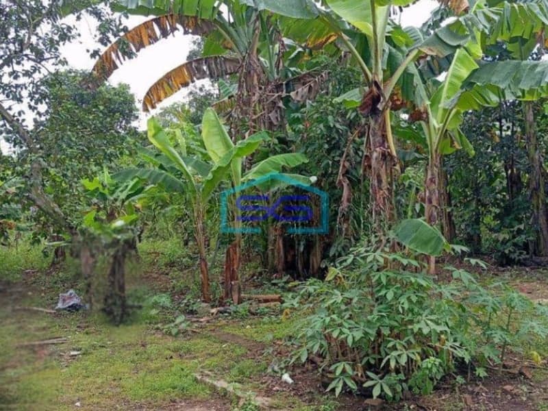 Dijual Tanah Kavling Murah Siap Bangun Di Pagedangan Tangerang LT 3200m2