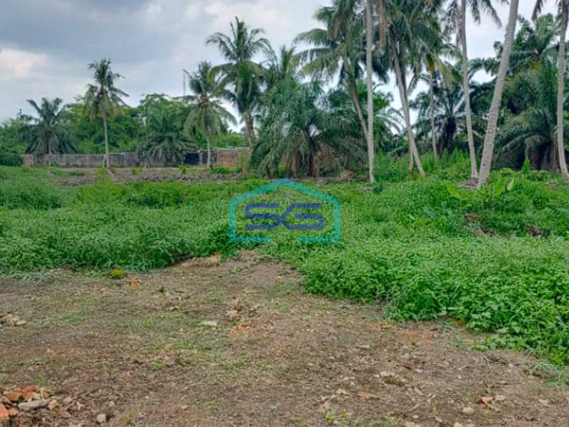 Dijual Tanah Strategis di Jalan Talang Buruk, Alang Alang Lebar Palembang Luas 2 Ha