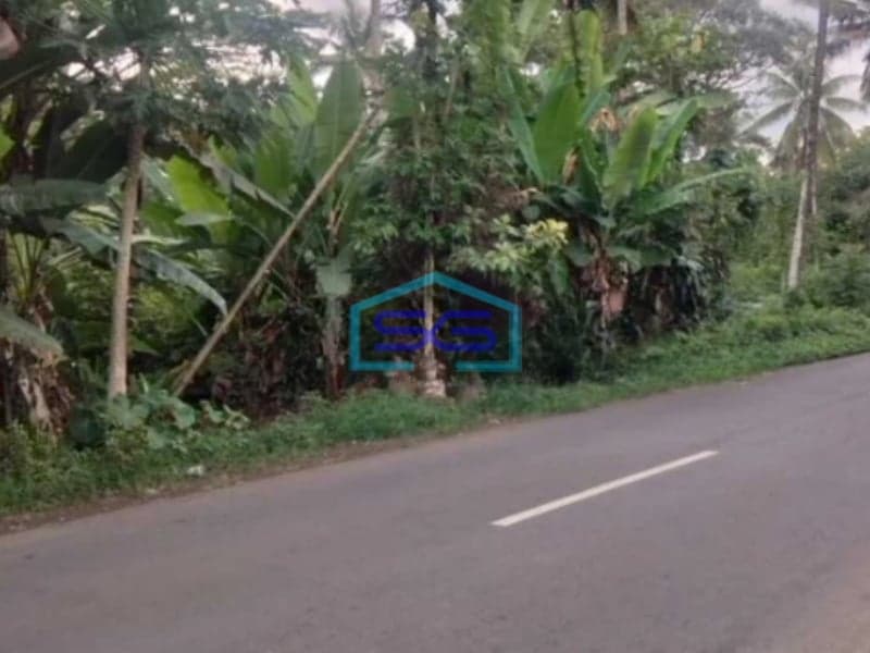 Dijual Tanah Zona Industri Lokasi Strategis Salatiga Semarang Luas 47391m2