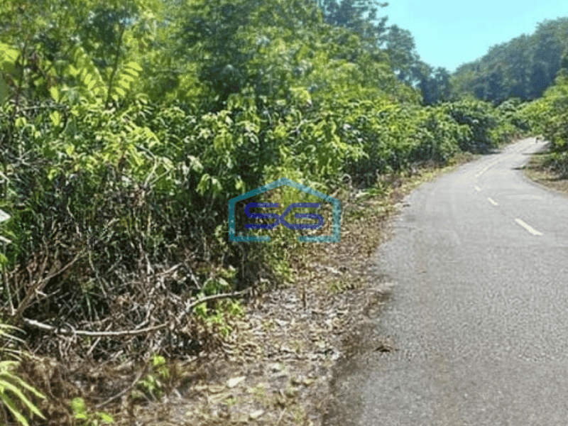 Dijual Tanah Di Maratua Kavling Lokasi Disampingnya Arasatu Resort Sebelah Selatan