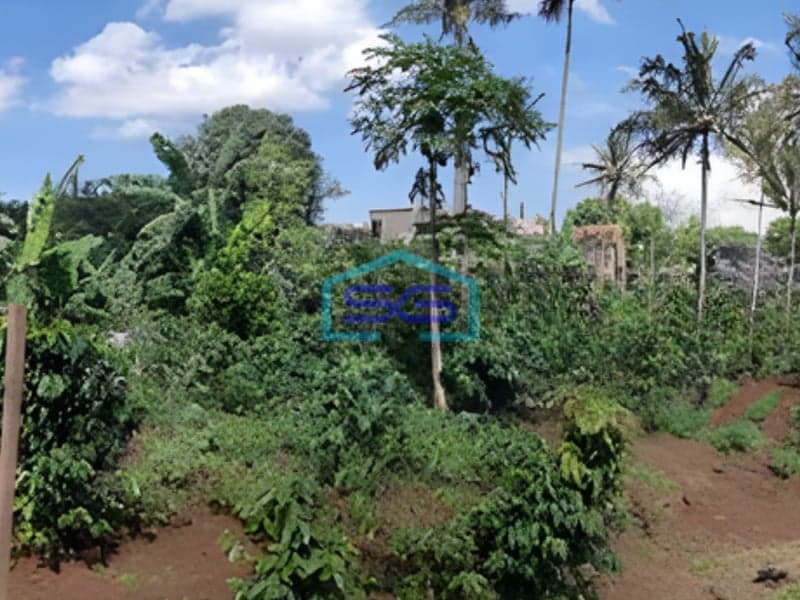 Dijual Tanah Murah Lokasi di Padalarang Bandung Luas Tanah 1665m2