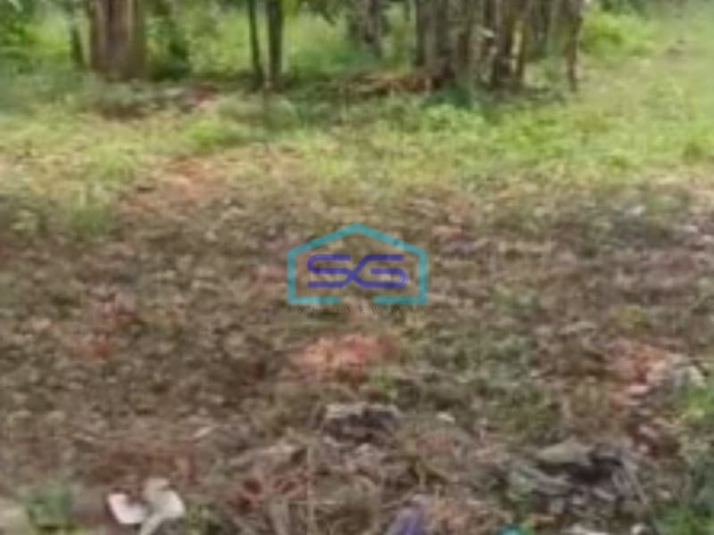 Dijual Pabrik Luas Bangunan  3500 m² Lokasi Sukoharjo Jawa Tengah