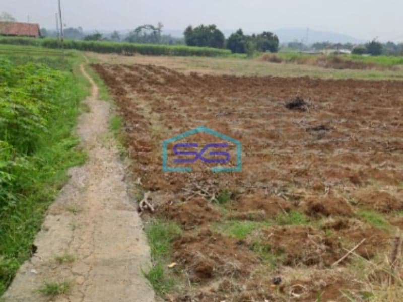 Dijual Tanah Jalan Atang Sanjaya Rancabungur Bogor Luas Tanah 90000m2