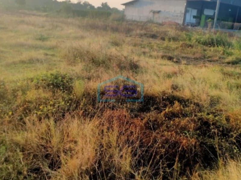 Dijual Tanah di Baleraja, Gantar, Indramayu, Jawa Barat Luas Tanah 9308m2