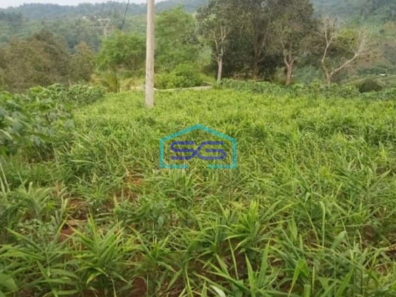 Dijual Tanah Di kebunduren Kutawarngin Cianjur Luas Tanah 85000m2