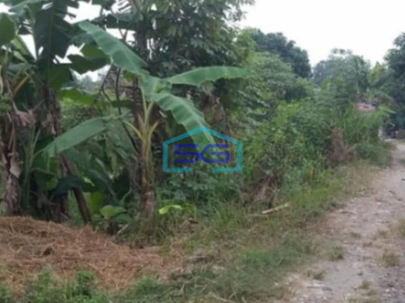 Dijual Tanah Murah Lokasi Sangat Bagus di Balaraja Tangerang LT 2600m2