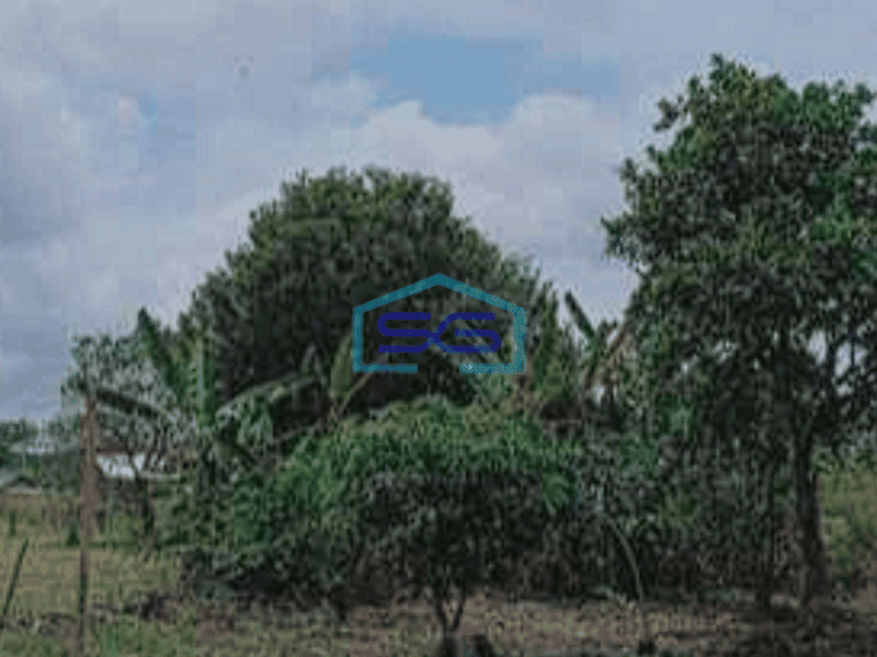 Dijual Tanah Luas Siap Bangun Dekat Gerbang Tol Indralaya Palembang