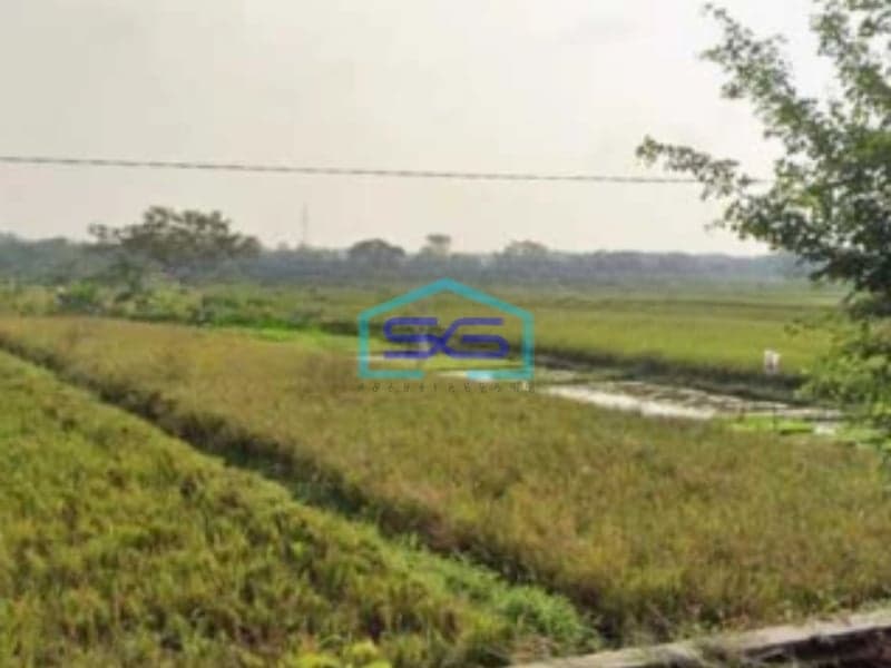 Dijual Tanah Zona Industri Lokasi Delanggu Klaten Jawa Tengah Luas 50000m2