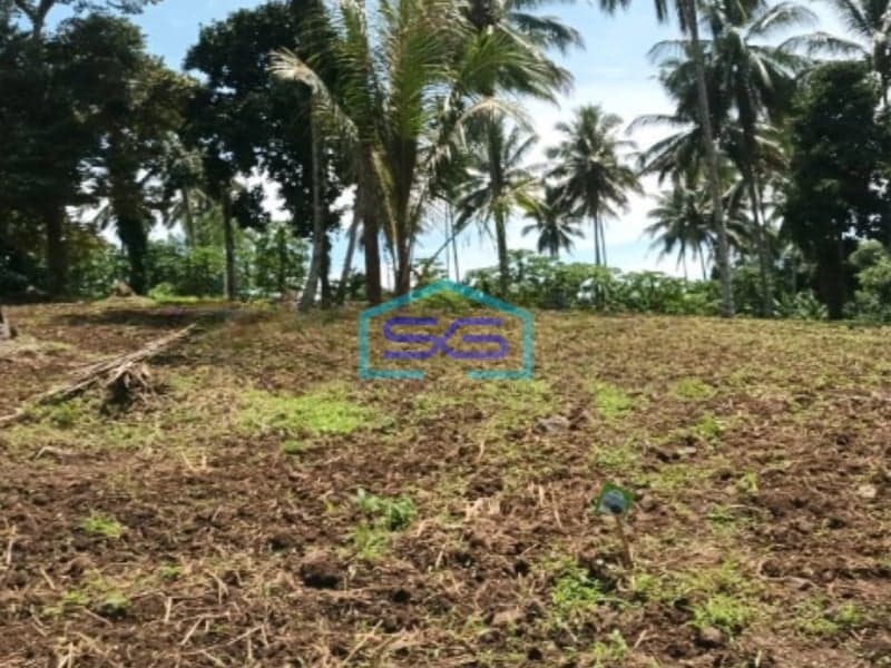 Dijual Tanah Di Jl Raya Manado Bitung Desa Kaima Pas Buat Pergudangan Airmadidi, Minahasa Utara Luas Tanah 110000 m²