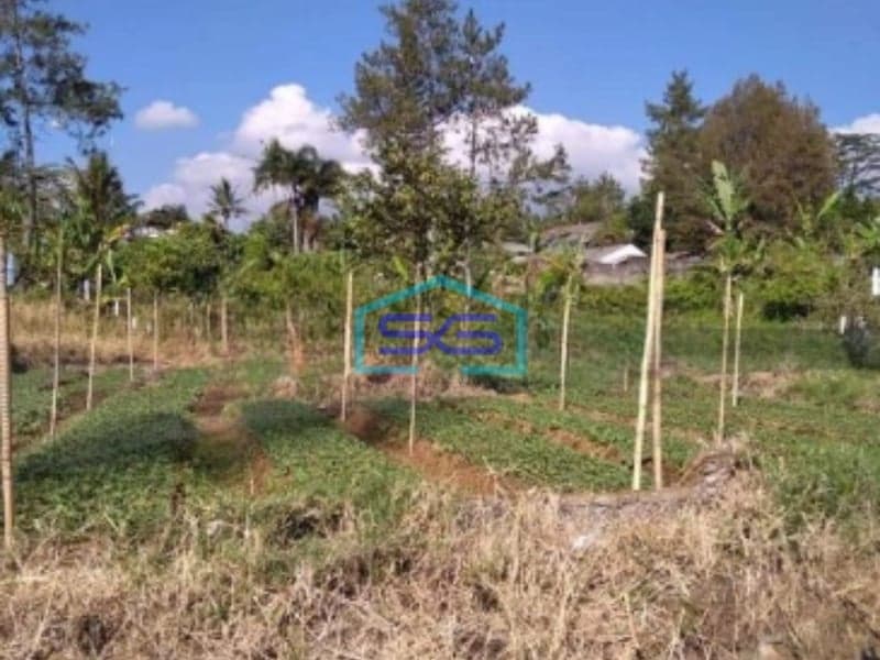 Dijual Tanah Letak Strategis di Pacet Cianjur Luas Tanah 4996m2