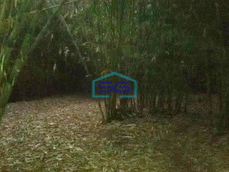 Dijual Tanah di Desa Jampang Gunung Sindur Bogor LT 10000m2