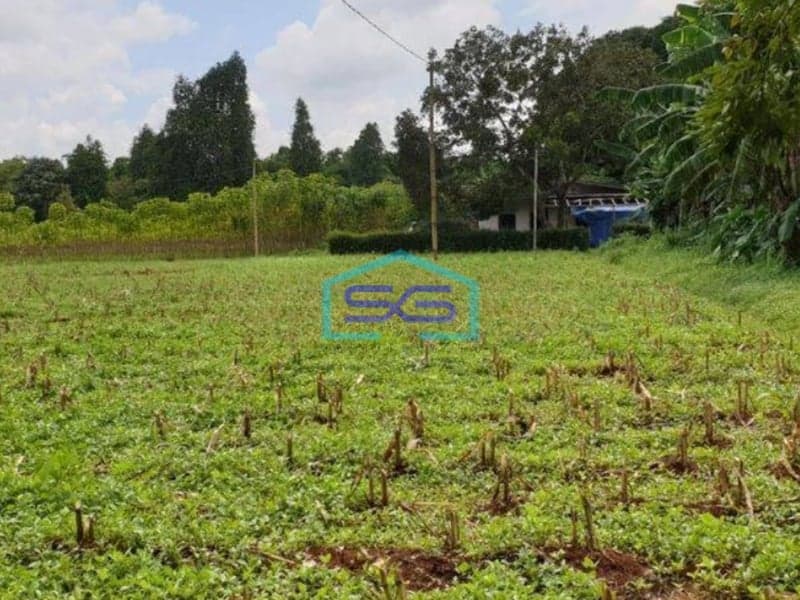 Dijual Tanah di Pinggir jalan Raya Cisauk Tangerang LT 4000m2