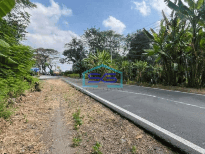 Dijual Tanah Industri Sangat Strategis Lokasi Pedan Klaten Luas 28 Ha