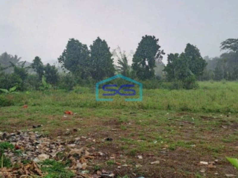 Dijual Tanah Lokasi Di Ciseeng Bogor Luas Tanah 3500m2