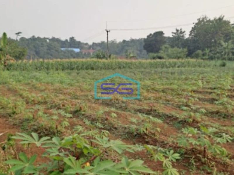 Dijual Tanah Rancabungur Bogor Jawa Barat Luas Tanah 25000m2