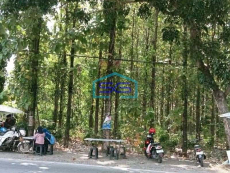 Dijual Tanah Ada Pohon Jati Nya Di Patebon Kendal