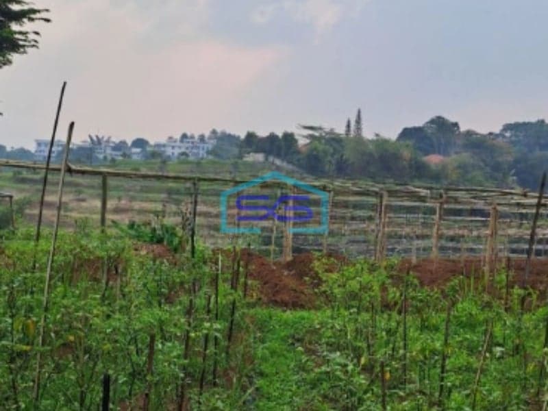 Dijual Tanah di Desa Gunung Gelis Sukaraja Bogor Luas Tanah 25000m2