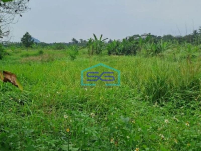 Dijual Tanah di Pinggir Jalan Raya Desa Rabak Rumpin Bogor Luas 44000m2