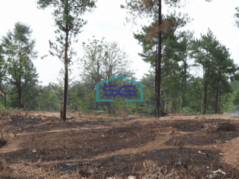 Dijual Tanah Murah Luas 24337 m² Lokasi Strategis di Subang Jawa Barat