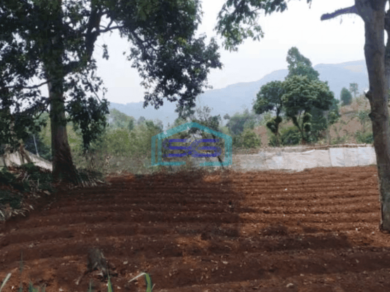 Dijual Tanah Di Soreang Dekat Taman Love Bandung Luas Tanah 4553 m²