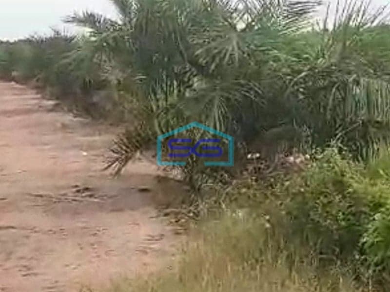 Dijual Tanah Luas 28 Ha di Jalan Musi Palembang