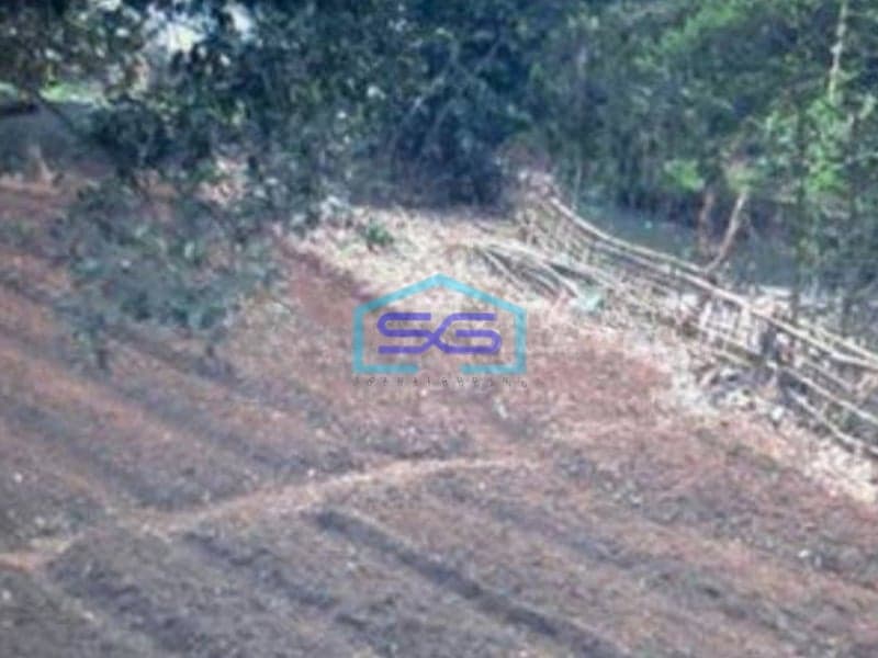 Dijual Tanah Di Jalan Sholeh Iskandar Bogor Dekat Tol LT 7012m2