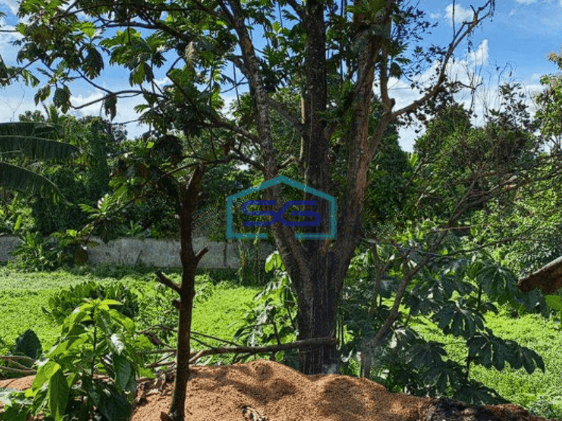 Dijual cepat Tanah Lahan Buat Usaha Atau Pabrik Pergudangan di Bogor LT 14757m2