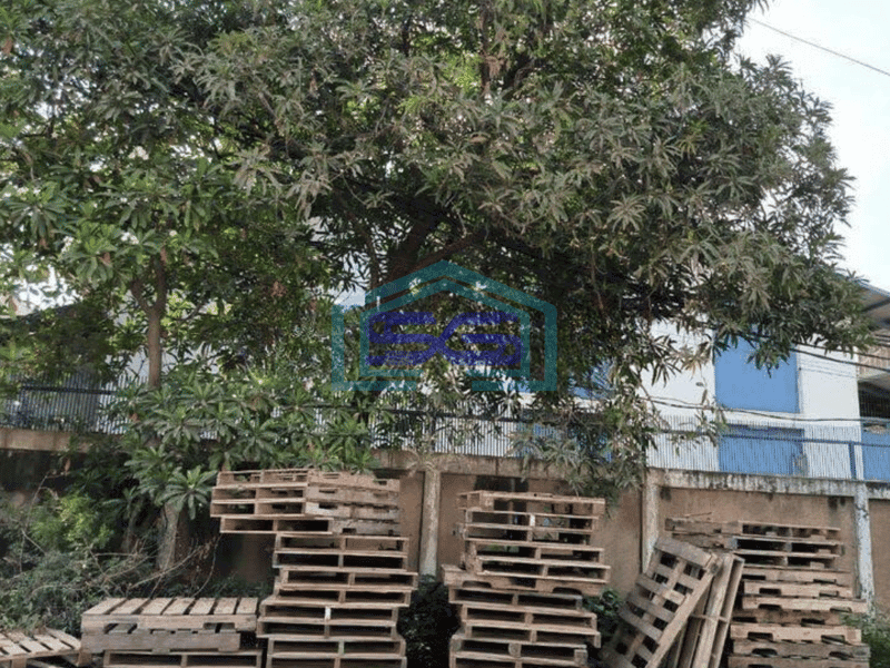 Dijual Cepat Gudang bonus satu unit Ruko di Sunter Jakarta Utara