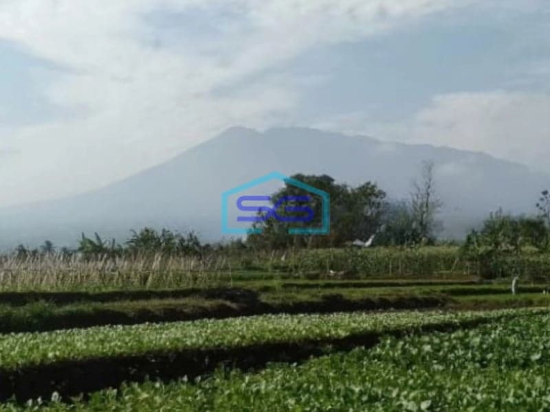 Dijual Tanah di Desa Banjarwangi Ciawi Bogor Jawa Barat Lokasi Tanah Bagus Datar LT 17000m2