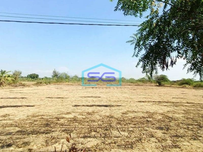 Dijual Tanah Murah Kawasan Industri Jln Raya Benjeng Gresik Cocok Untuk Pabrik Gudang LT 10000m2