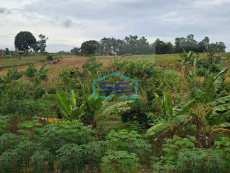 Dijual Tanah Murah Lokasi Elite Hook Setra Duta Bandung Utara LT 1400m2