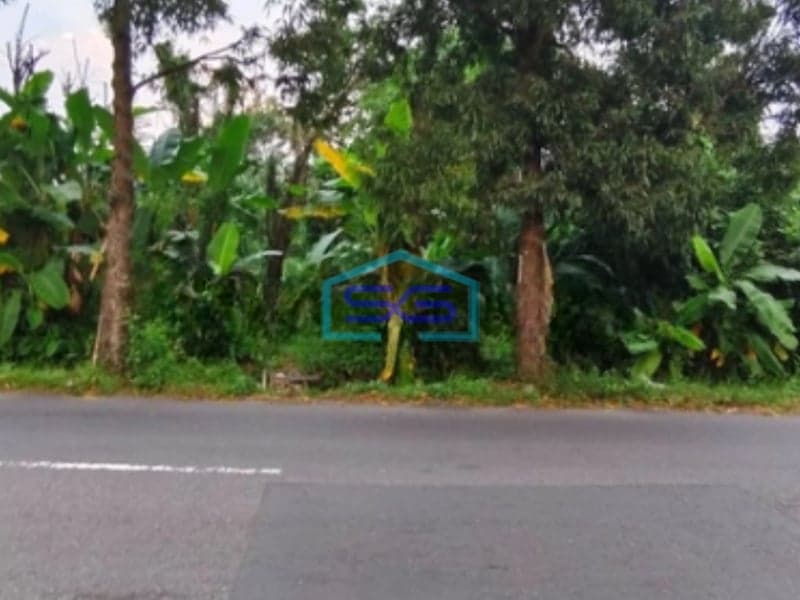 Disewakan Tanah Luas Bagus Strategis di Ngagik Sleman Yogyakarta