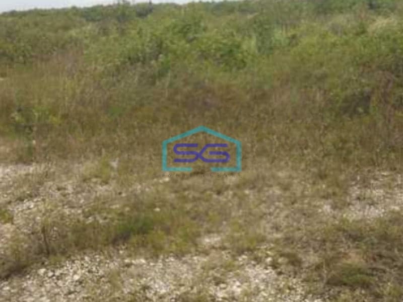 Disewakan Tanah Luas 70000 m² Lokasi Margomulyo Surabaya