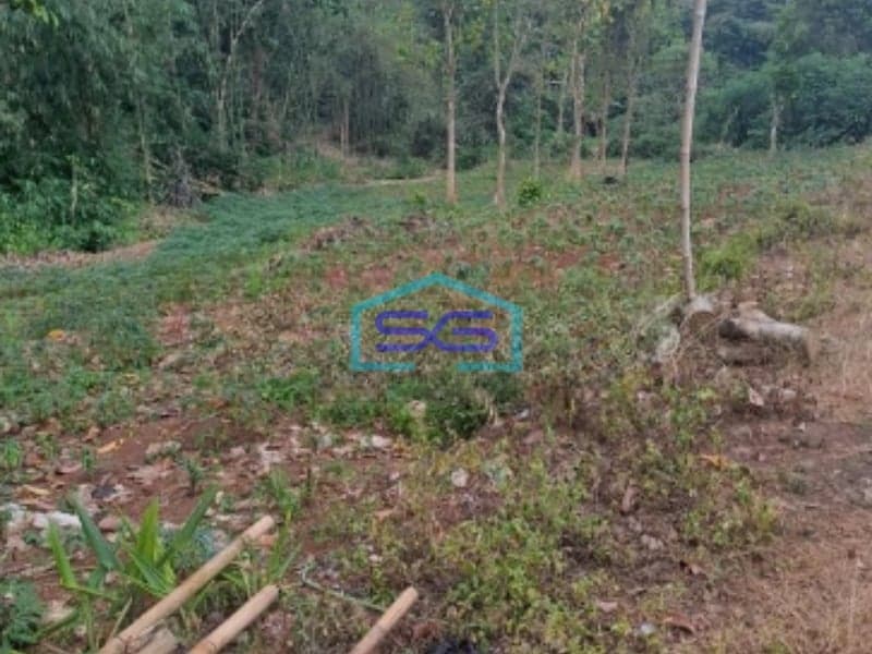 Dijual Tanah di Mekarsari Rumpin Bogor Luas Tanah 1700m2