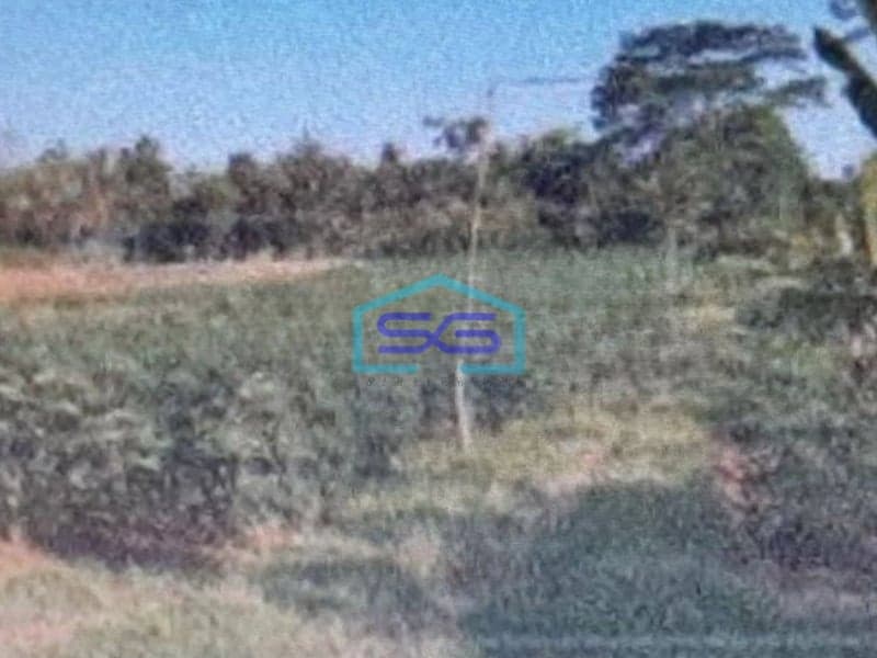 Dijual Tanah Di Ciseeng Bogor Lokasi Strategis LT 64336m2