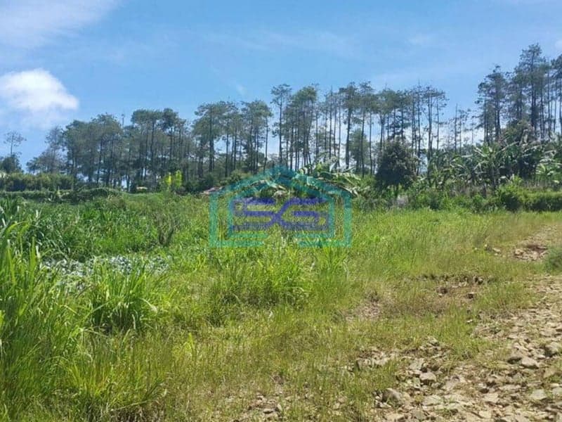 Jual Tanah Lembang Asri