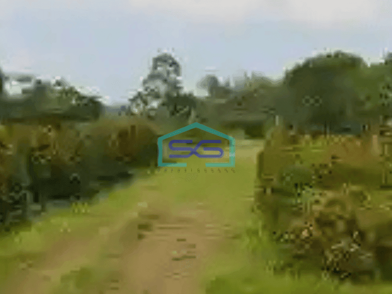 Dijual Tanah Lokasi Sangat Bagus Pinggir Jalan Utama Di Gunung Sindur Curug Bogor Zona Industri