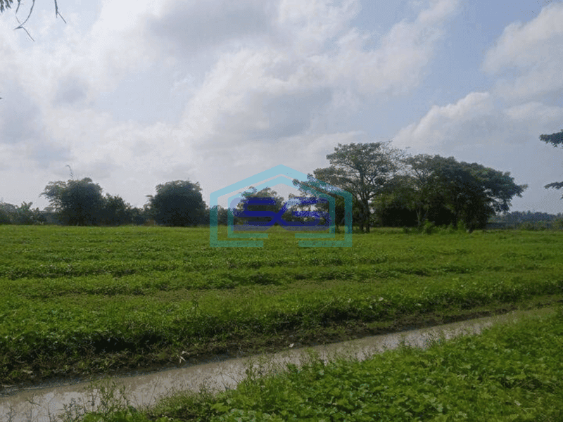 Dijual Tanah 15.229meter Sepatan Tangerang