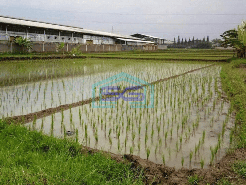 Jual Tanah di Cimareme Bandung