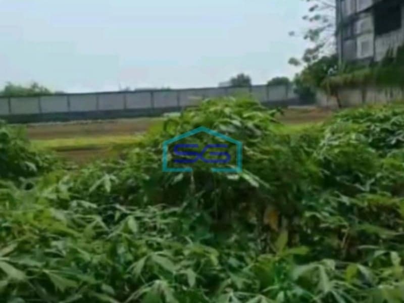 Dijual Tanah Kavling Luas 10000m2 Di Teluk Naga Tangerang Banten
