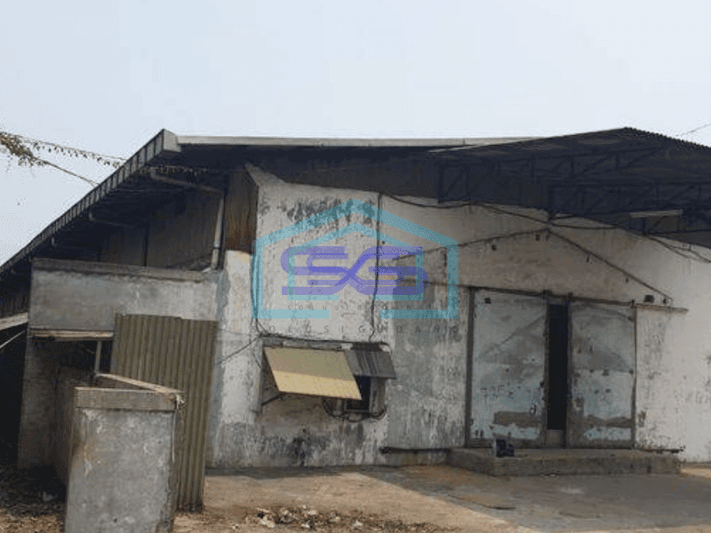 Disewakan Gudang di peternakan kapuk