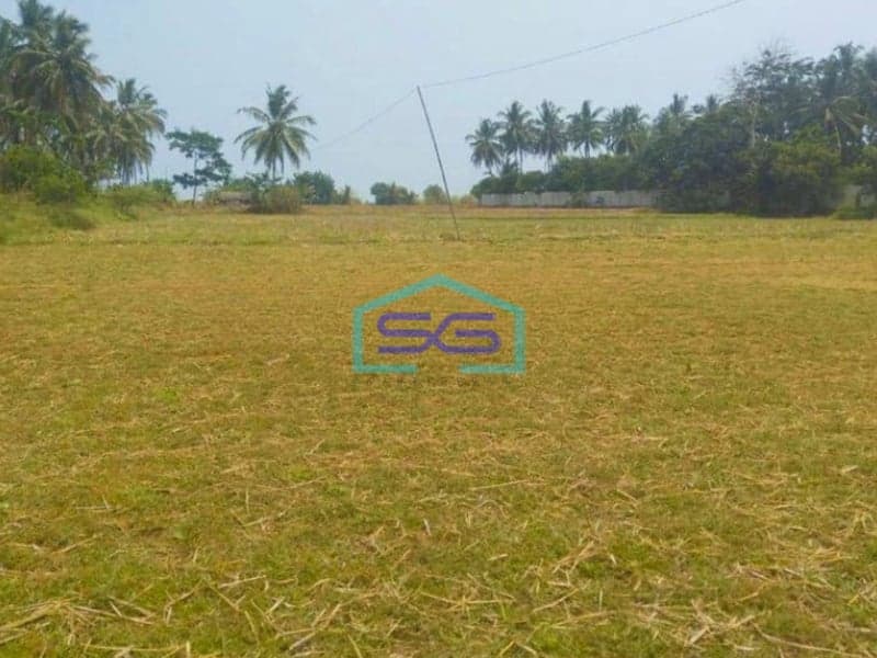 Dijual Cepat Tanah Di Panimbang Pandeglang Banten 1.5 Ha Pinggir Jalan Utama Murah